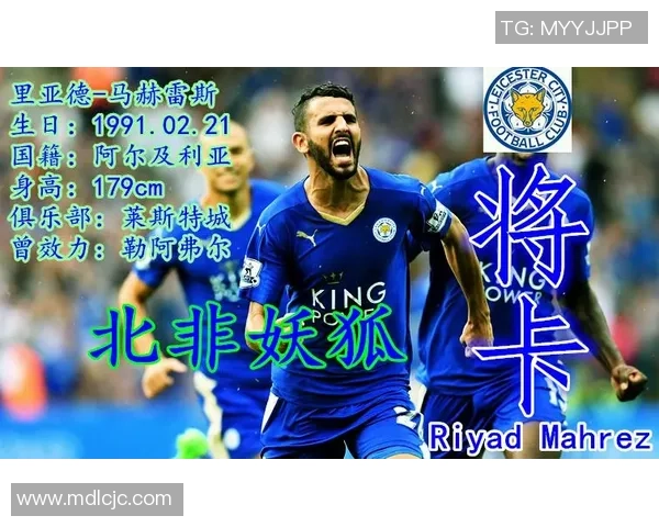 足球星卡系统全面解析与创新发展路径探讨